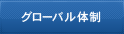 グローバル体制