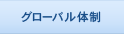 グローバル体制